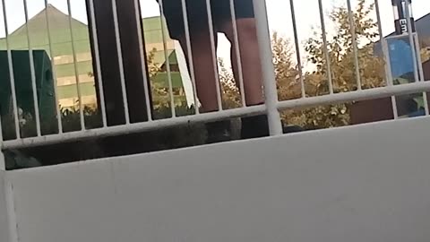 VID 20241106 164010