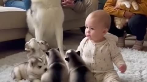 Cute Baby Playing With Animals | Adorable Baby & Pets Moments | Funny Animal Reactions”
