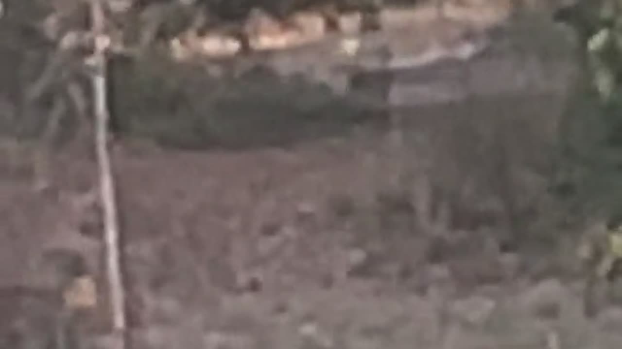 😨👻 You Won't Believe What They Caught on Camera! Shadow Figure | TheHauntingHour