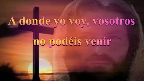 A donde Yo voy, vosotros no podéis venir _ Juan 8: 21 al 30