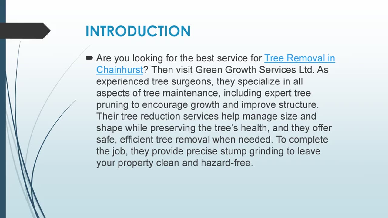 Best Tree Removal in Chainhurst