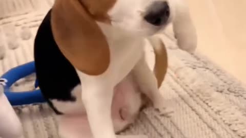 How is that?