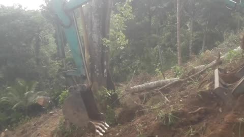 POV: Building a Forest Road on a Cliff