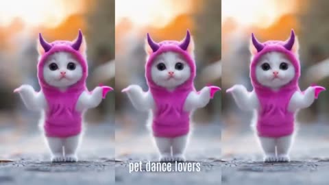 Dancing Kitty: The Cutest Cat Moves You’ll Ever See! 🐱💃"