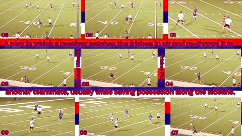 Prototype 193: The Greatest Play in Ultimate Frisbee according to... Ultimate Frisbee