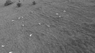 Excado Yolo Winter Cozy Mix