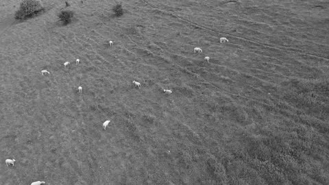 Excado Yolo Winter Cozy Mix