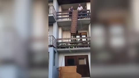 Laugh or Lose Challenge 😂 Funniest Instant Regret Moments