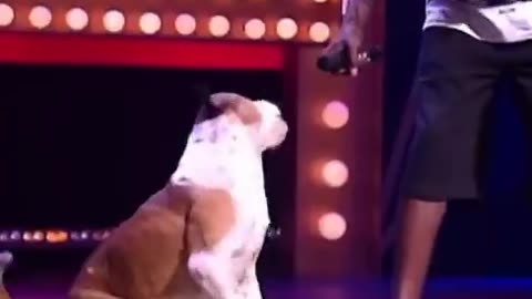 Man raps about his dog with his dog performing on stage.