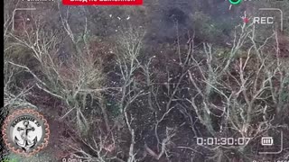 ☠️🐷36787 Lucky! No, I imagined it.