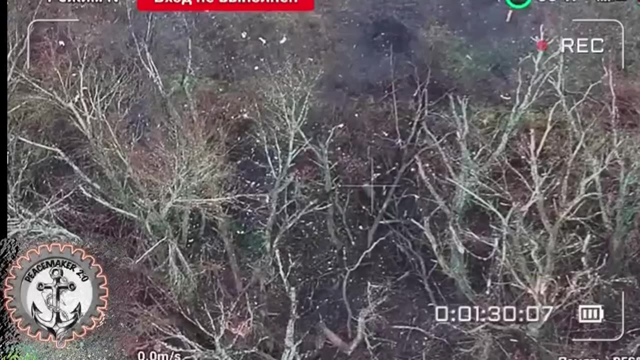 ☠️🐷36787 Lucky! No, I imagined it.