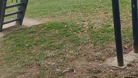 Rocket Slide