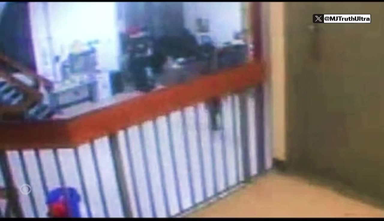 EPSTEIN - A comprehensive Report about the footage released by DOJ