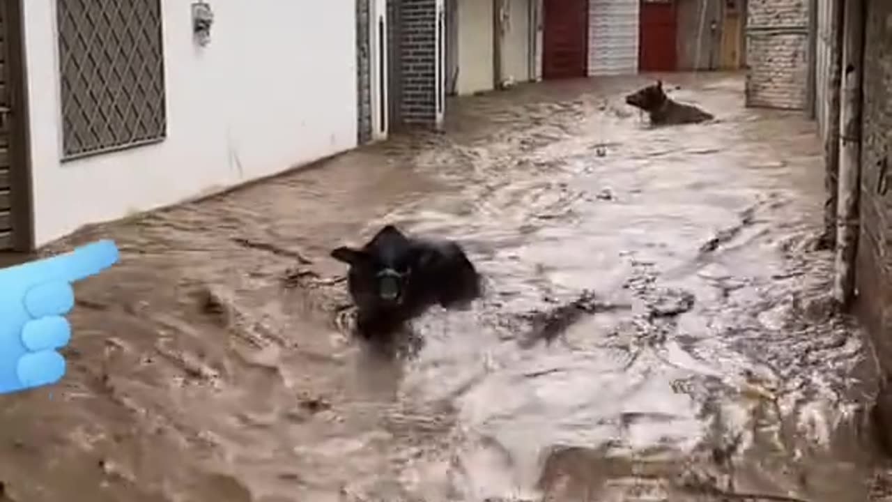 Everything out of control