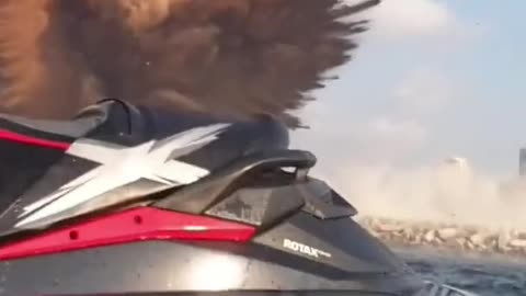 Beirut Explosion Unseen Footage 💥