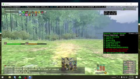 Playing Final Fantasy XI Online