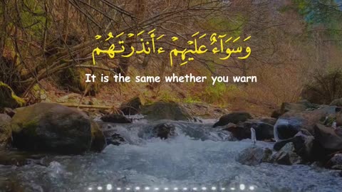 Surah Yaseen (1-10) | The Opening of the Heart | A Message for the Believers