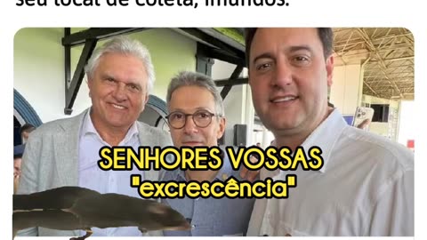 Senhores vossas "excrescência" aproveitadores, são urubus sobrevoando seu local de coleta, imundos.