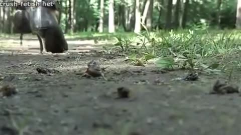 Crushed Into the Dirt