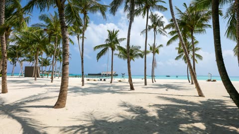 Tropical Beach Paradise Under the Palm Shadows – A Dreamy Escape 2k
