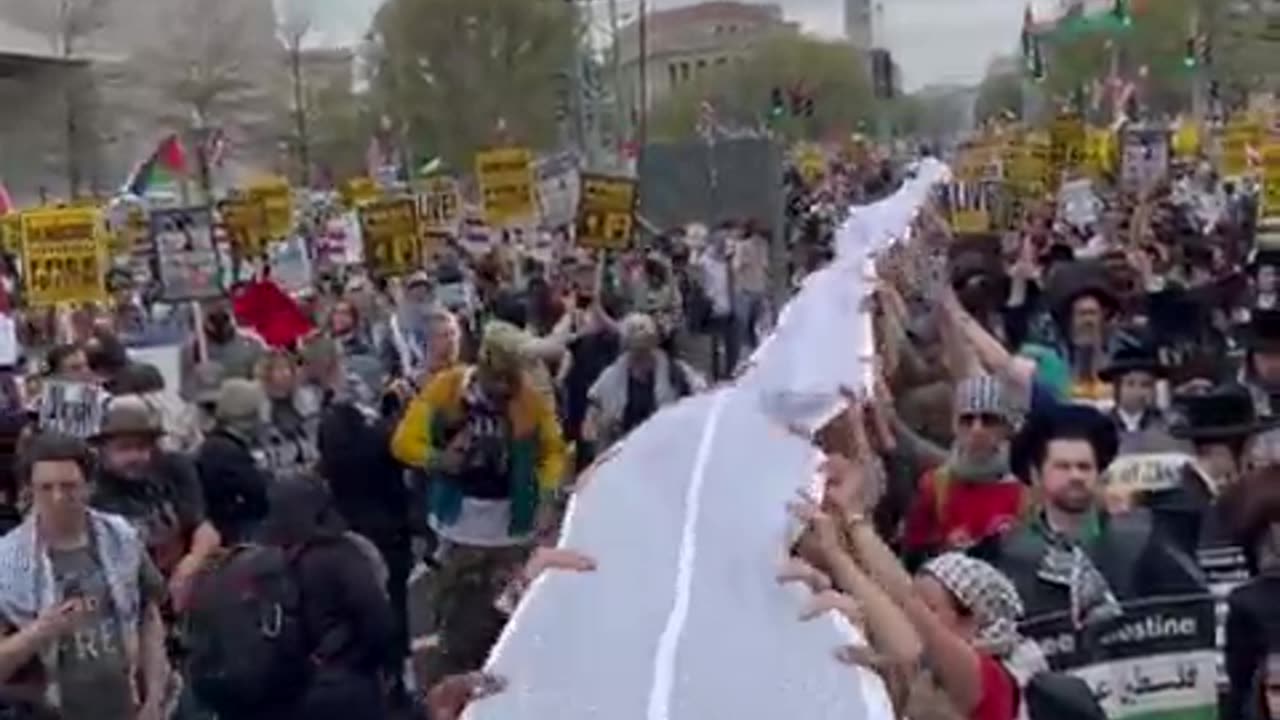 Pro-Palestine demonstrators in Washington DC unfurl a massive banner