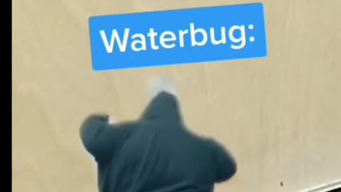 Battle of the Bug