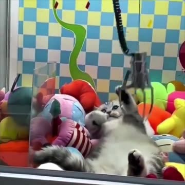 Very frustrating game 🤣