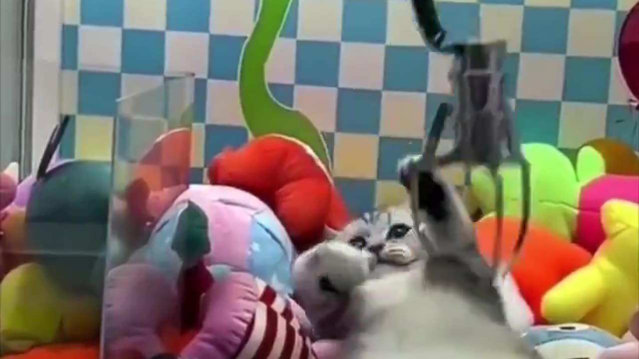 Very frustrating game 🤣