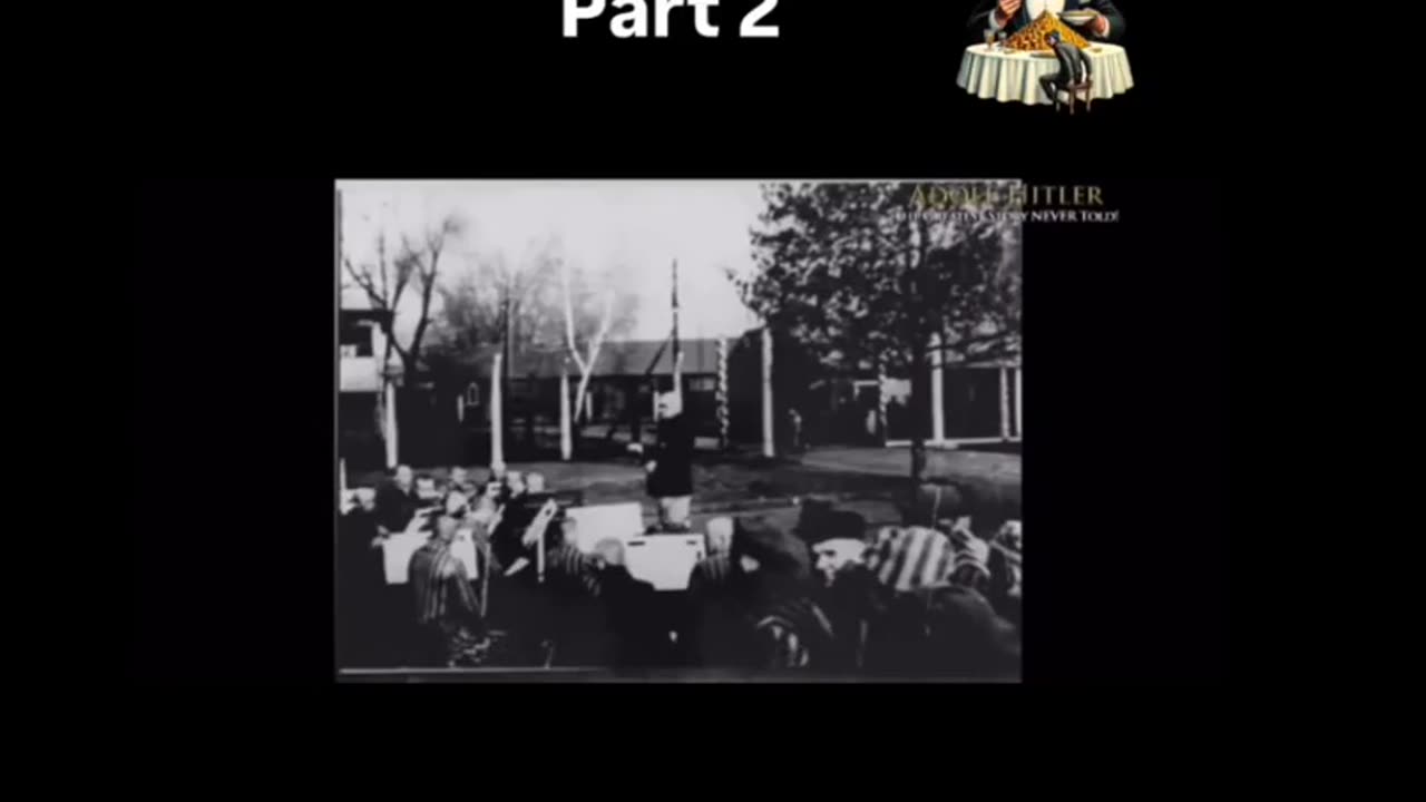 Auschwitz survivor testimonies they don't tell you about