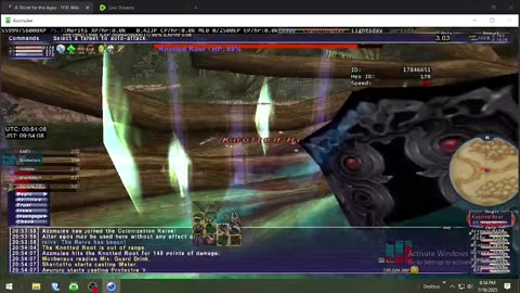 Playing Final Fantasy XI Online