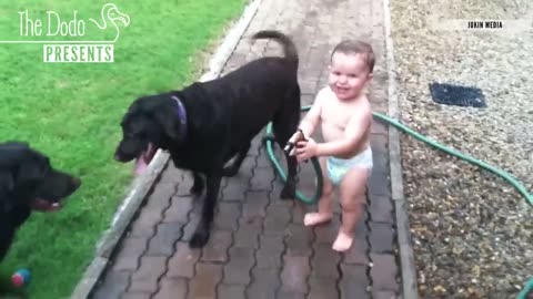 Adorable Babies Laugh at Pets
