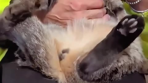 Is it really that intense?