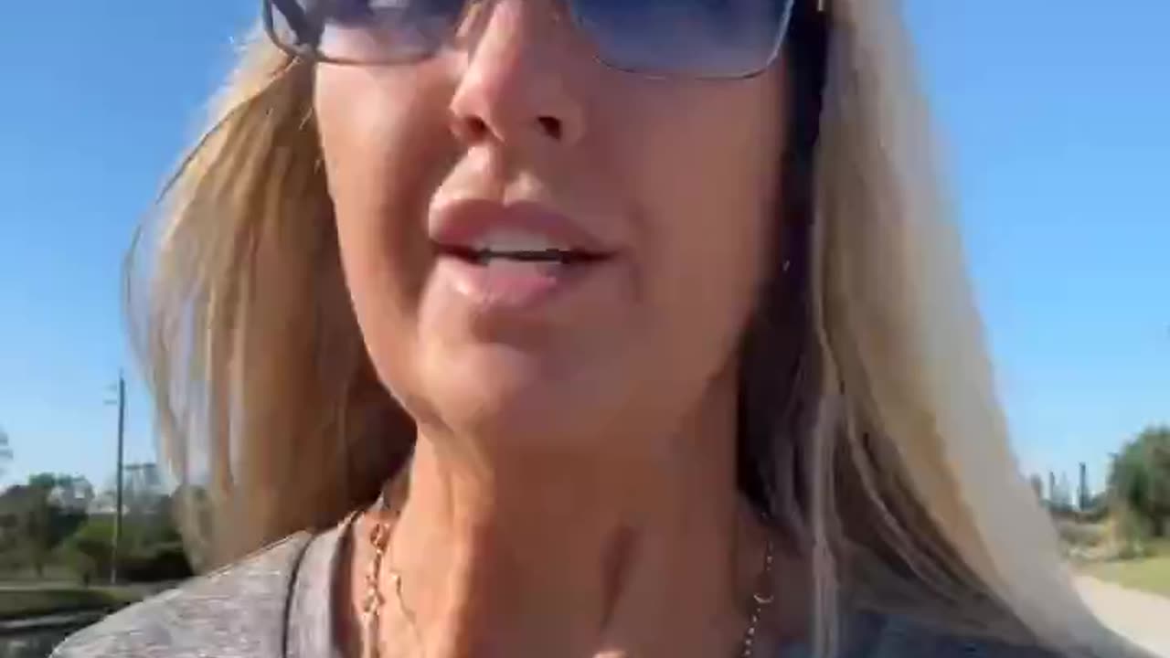 Vandersteel: Arrest Van Hollen for Logan Act Violations and Treason