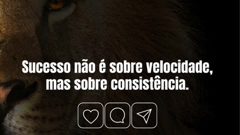 josecunha.pt