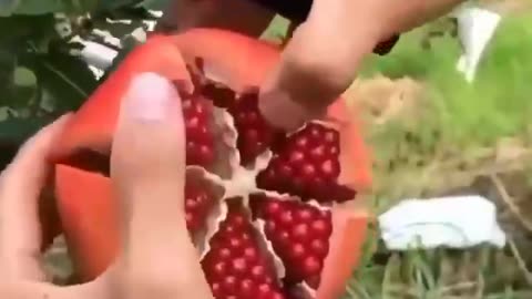 Fruit tricks