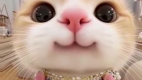 Cutest Little Kitty Ever – Watch This Adorable Moment 😻💖