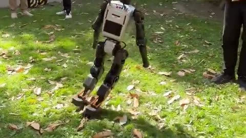 😂 When You Order a Robot from Temu... | FunFM