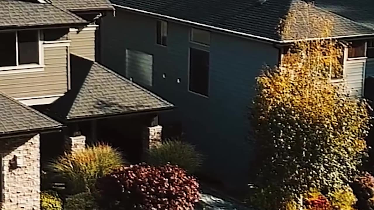 Show up everyday by Ed Delacruz #money #wealth #finance #reels #shorts