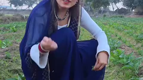 Sugar
