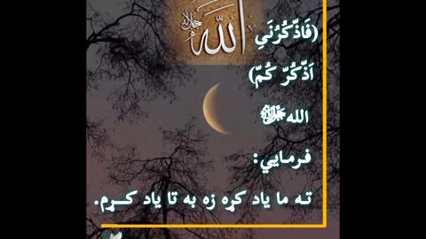 تکست