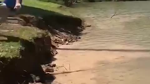 Funny video