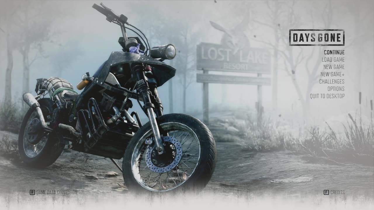 Days Gone - 13