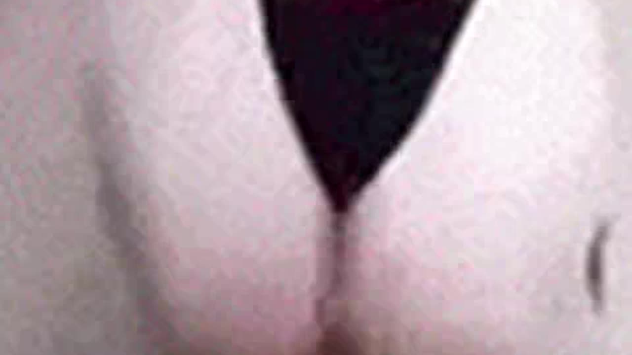 anime do jaspion e cibercops versao animais engraçados