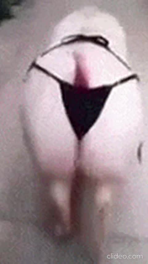 anime do jaspion e cibercops versao animais engraçados