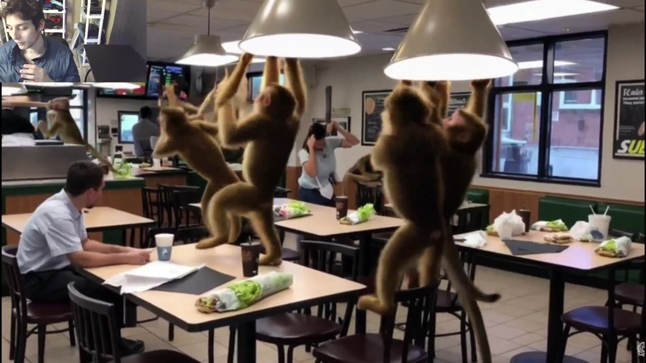 Outtake #1,050 Of Over 5 Monkeys Roam Around A Subway Restaurant Fake Funny Parody Video