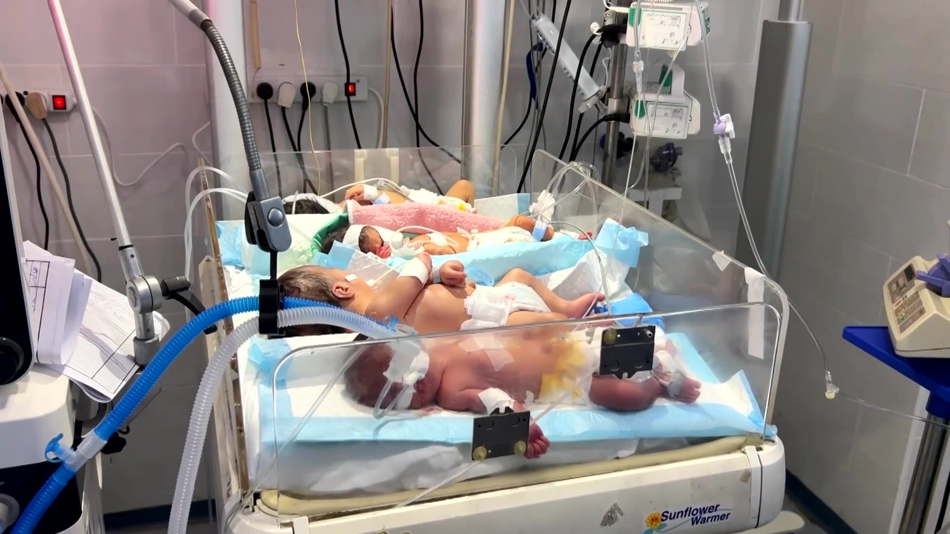 Shortages at Gaza hospital force newborns to share incubators