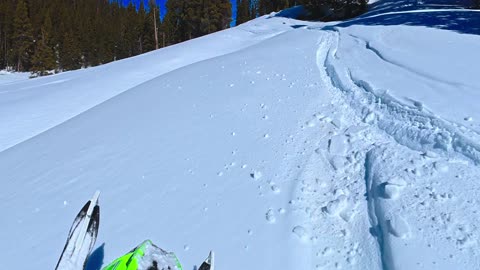 Not sure how I made it out of that one!