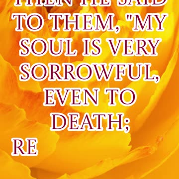 "Jesus’ Agony in Gethsemane" Matthew 26:38 #shorts #youtubeshorts #ytshorts #shortvideo #youtube #yt