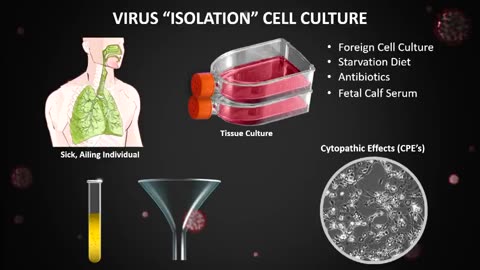 Surviving The Age Of The Fake Virus - Dr. Andrew Kaufman