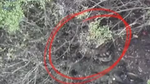 🛸🔥 Ukraine Russia War | Sheikh Mansur Battalion FPV Drone Strikes in Kherson | RCF